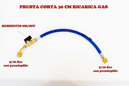 Frusta corta con - frusta,