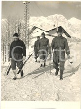 1956 olimpiadi cortina - 1956,