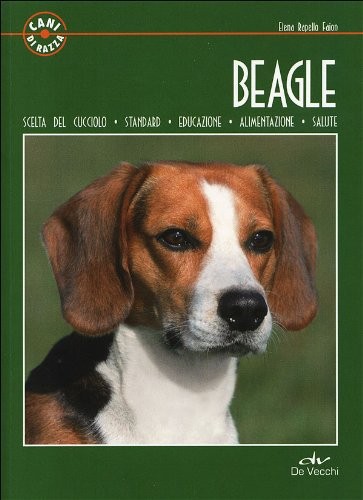 Beagle