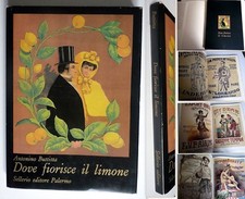 DOVE FIORISCE IL LIMONE