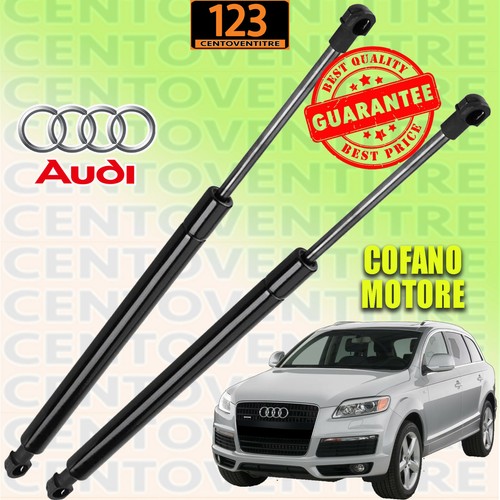 Molle gas cofano motore - gas,