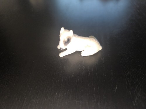 Cuccioli cerca amici cane - cerca,