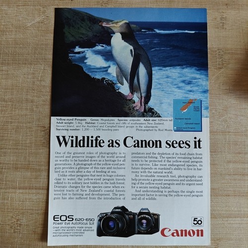 Canon eos 620 1988 vintage - eos,
