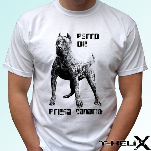 Perro presa canario - dogo,