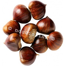 4_KG  CASTAGNE E MARRONI MIX ORIGINALI , DEL_CUORE  CALIBRO MEDIO_PICCOLO_ 2025