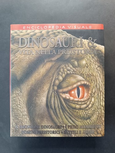 Libro enciclopedia visuale - libro,