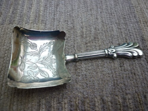 Cucchiaio caddy argento