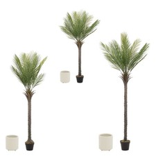 Palma artificiale pianta con