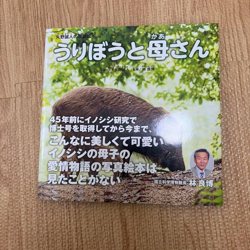 Uribou and picture book - a,