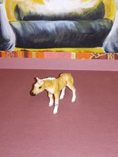 PULEDRO HAFLINGER O AVELIGNESE