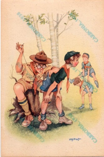 Scouts asci lombardia 3 - -asci,