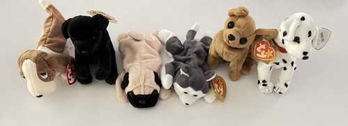 Lotto nanook pugsly - lotto, nanook,
