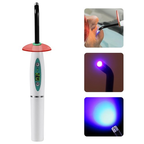 Dentista dentale dental - dentista,