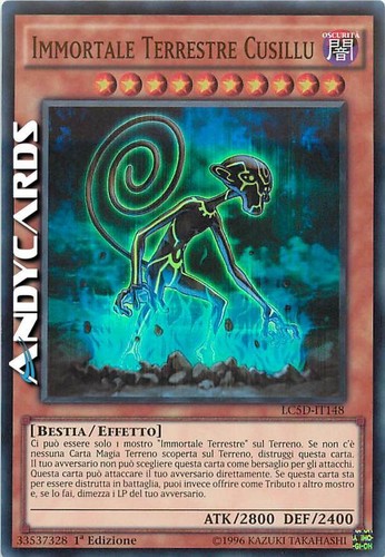 Immortale terrestre cusillu - terrestre,
