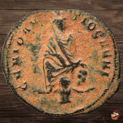 Bellissima moneta - bellissima, 🏺