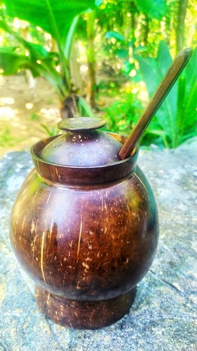 Ceylon conchiglia cocco eco - ceylon,