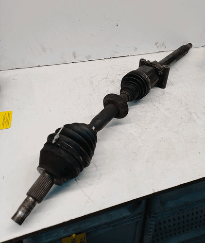 Semialbero ant compl dx - semialbero, compl.