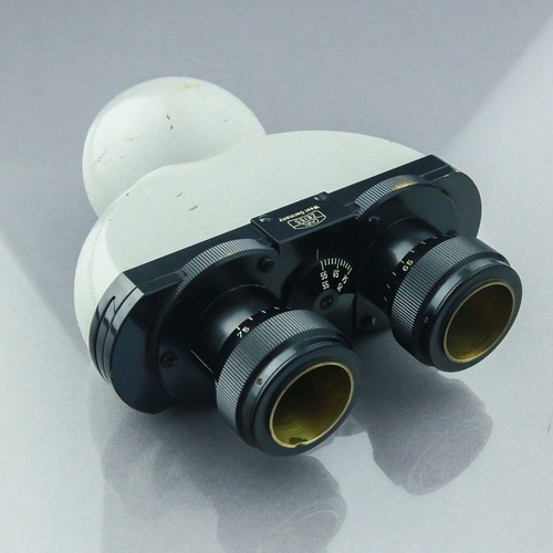Testa standard microscopio - testa,