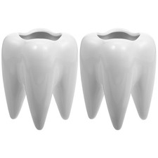  2 Pcs Vaso Di Cactus in