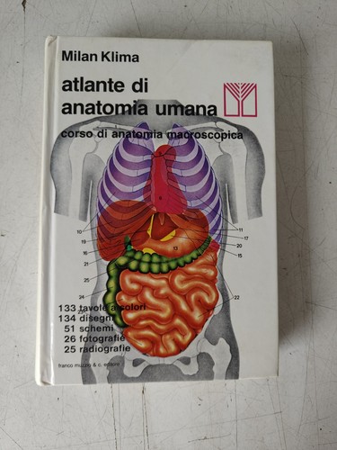 Atlante anatomia umana - di,