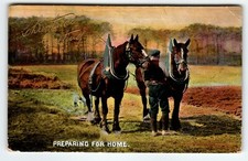 Christmas Postcard Horses