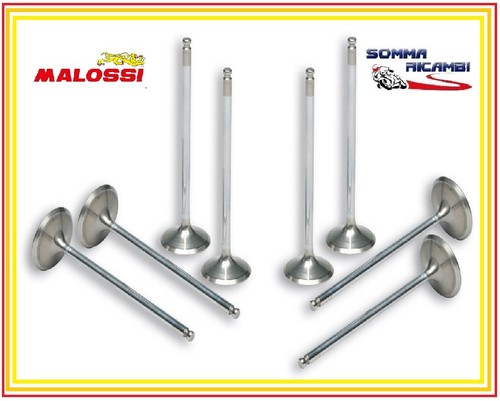 Valvole stroke testa - valvole,