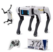 Robot Radiocomandato Smart
