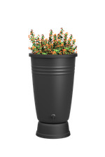 Green Basics Rainbarrel Plus