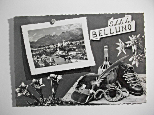 Belluno saluti berretto alpino - belluno,