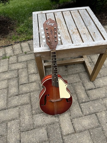 Mandolino veneziano kay - veneziano,