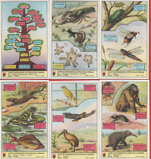 FIGURINE CAFFE LAVAZZA SERIE