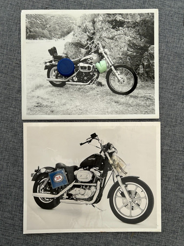 Harley davidson motorcycle - harley,