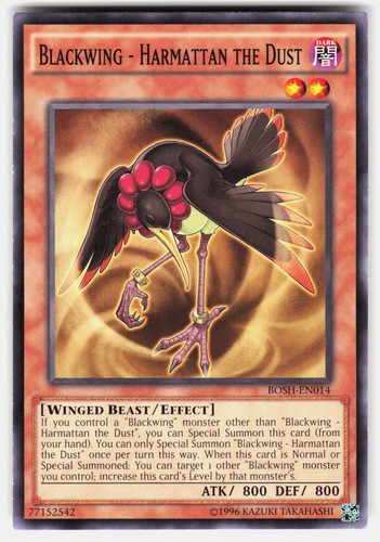 Blackwing harmattan the dust - harmattan,