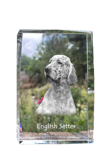 Setter inglese cristallo con