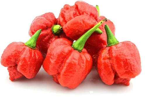 Semi puri originali di - 30,