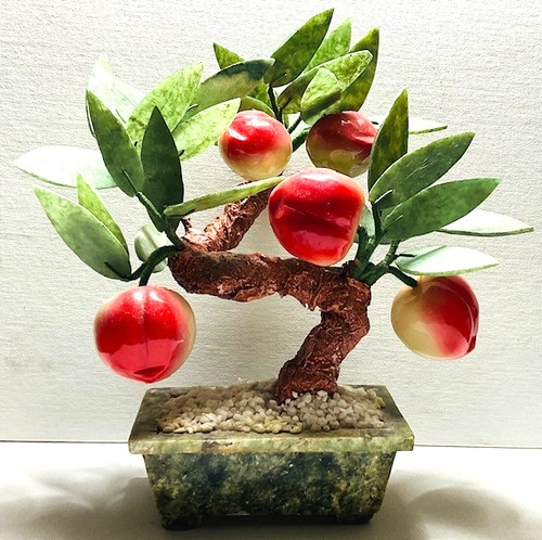 Bonsai pesco giada - pesco, di