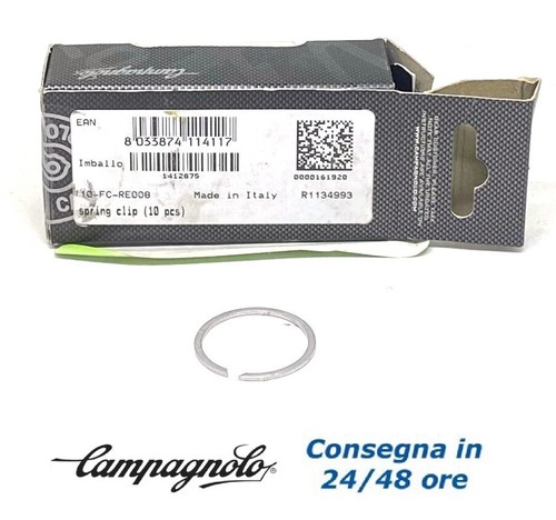 Fuori tutto campagnolo - **,