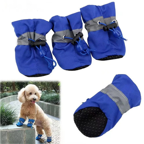 Scarpe cani impermeabili - scarpe,