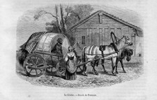 Stampa antica CARROZZA con