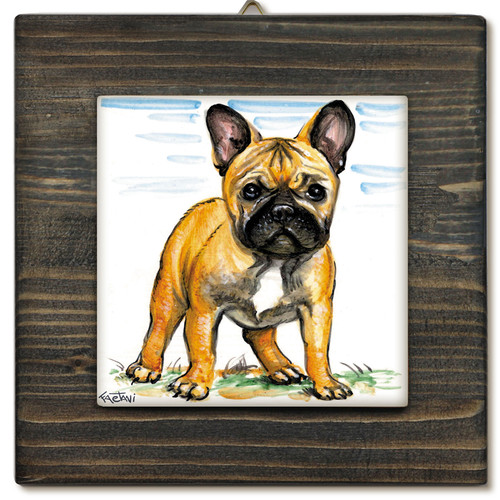 Bulldog francese bianco - bulldog,