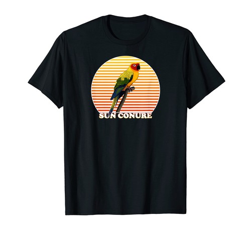 Conuro del sole uccello - conuro, da
