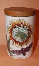 Portmeirion - Giardino