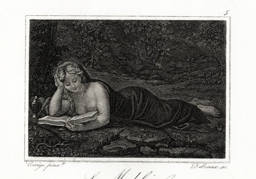 Maddalena di correggio - ,
