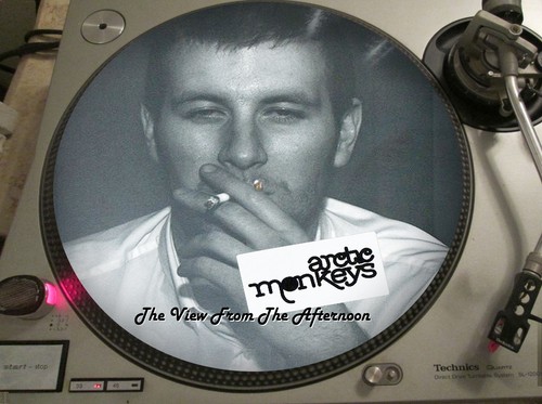 Arctic monkeys the view - the,