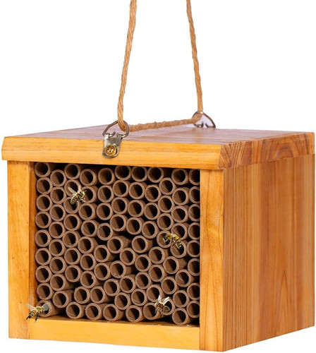 Mason bee house - bee,