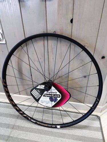 Coppia ruote vittoria rexcion - ruote,