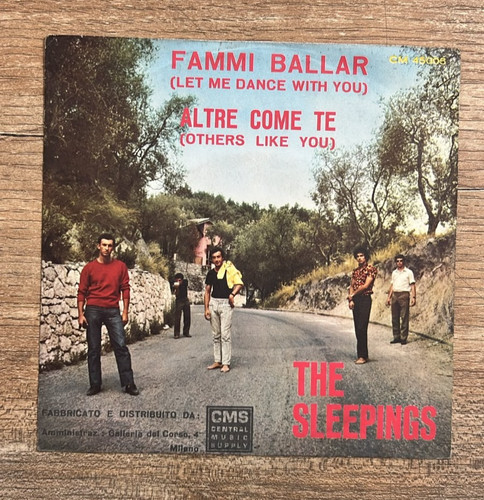 The sleepings fammi - the,