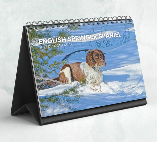 Calendario scrivania - calendario,