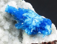 Campioni di minerali di