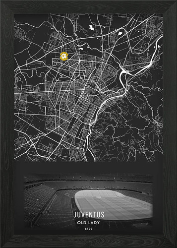 Quadro stampa tela - stampa, su